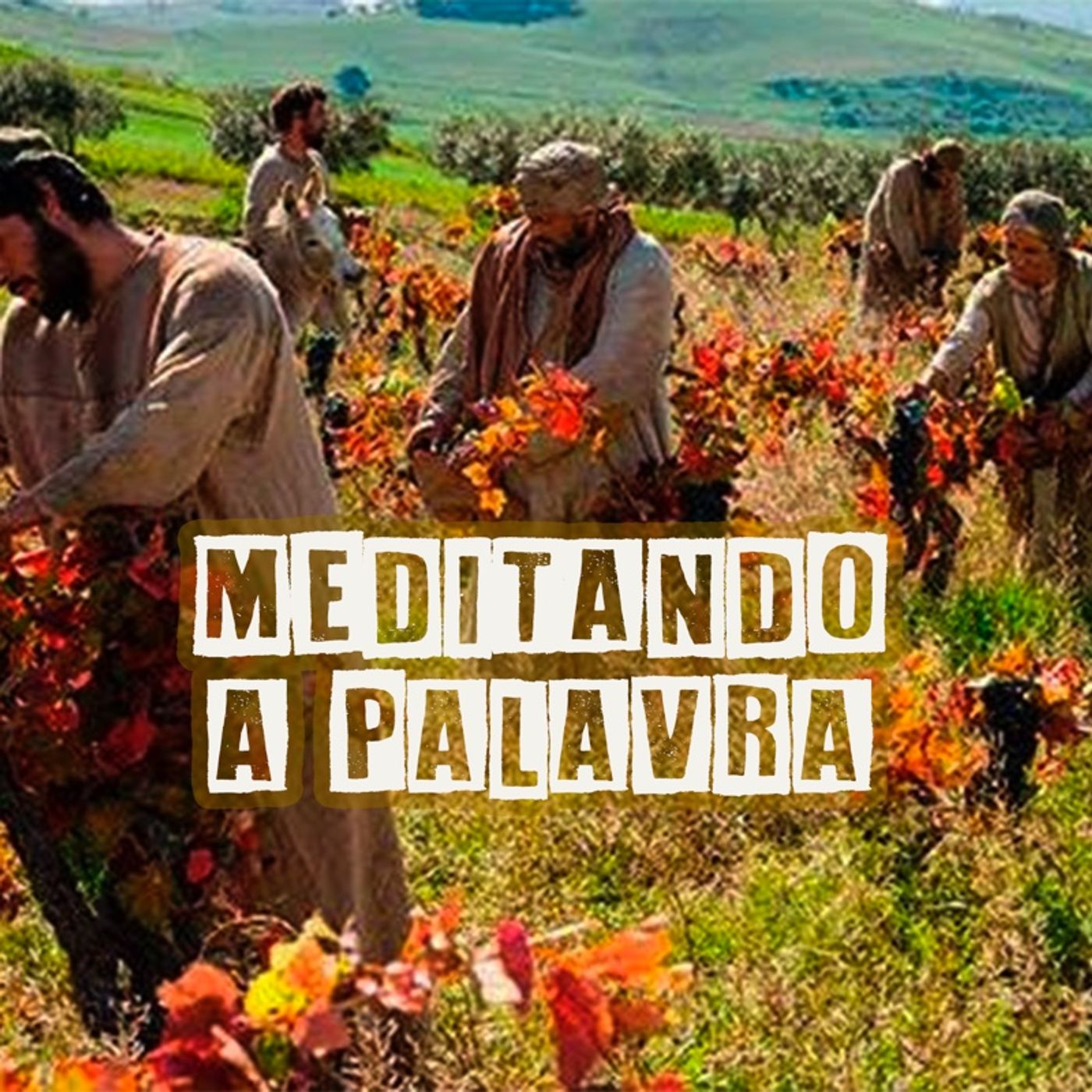 Meditando a Palavra