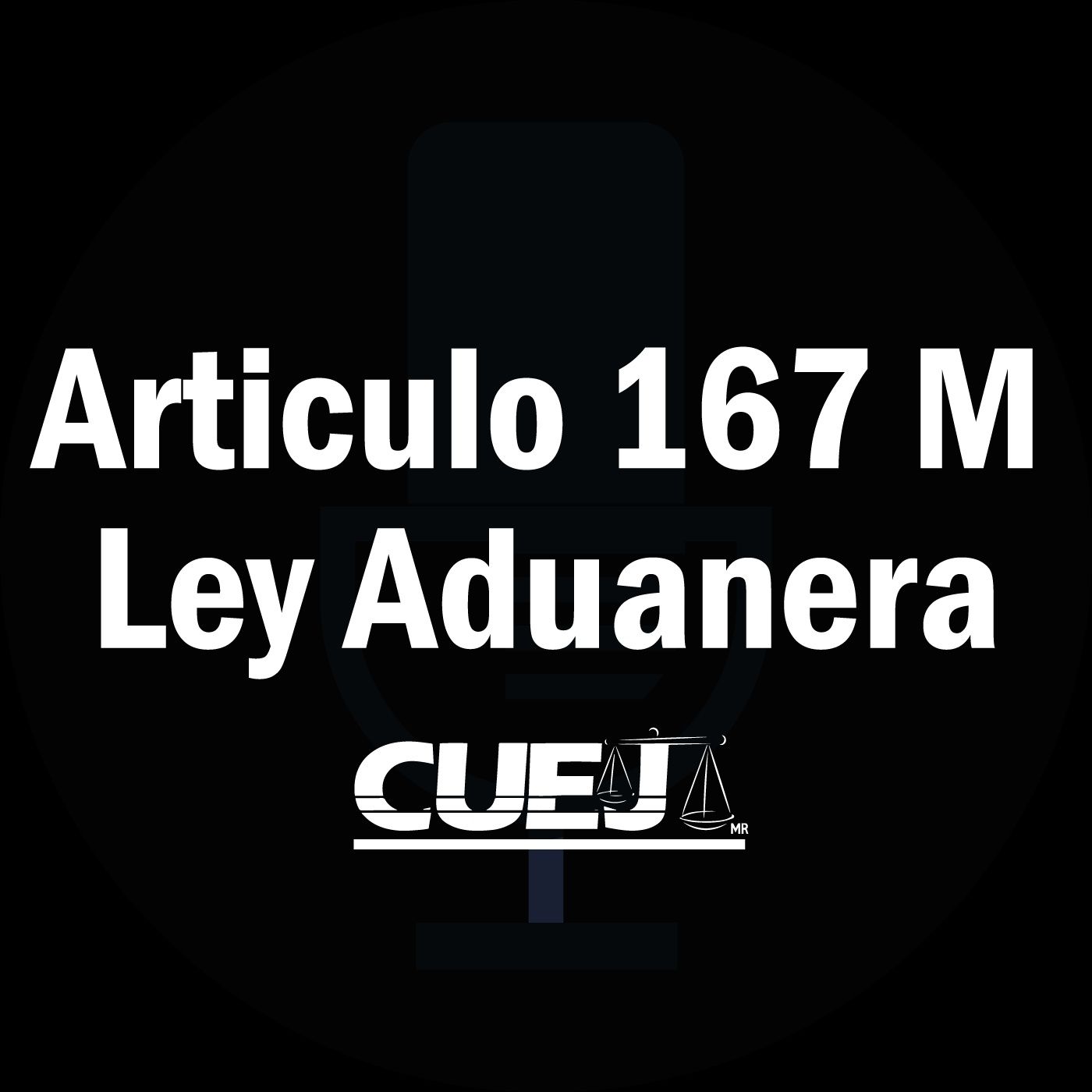 Audio Ley Aduanera