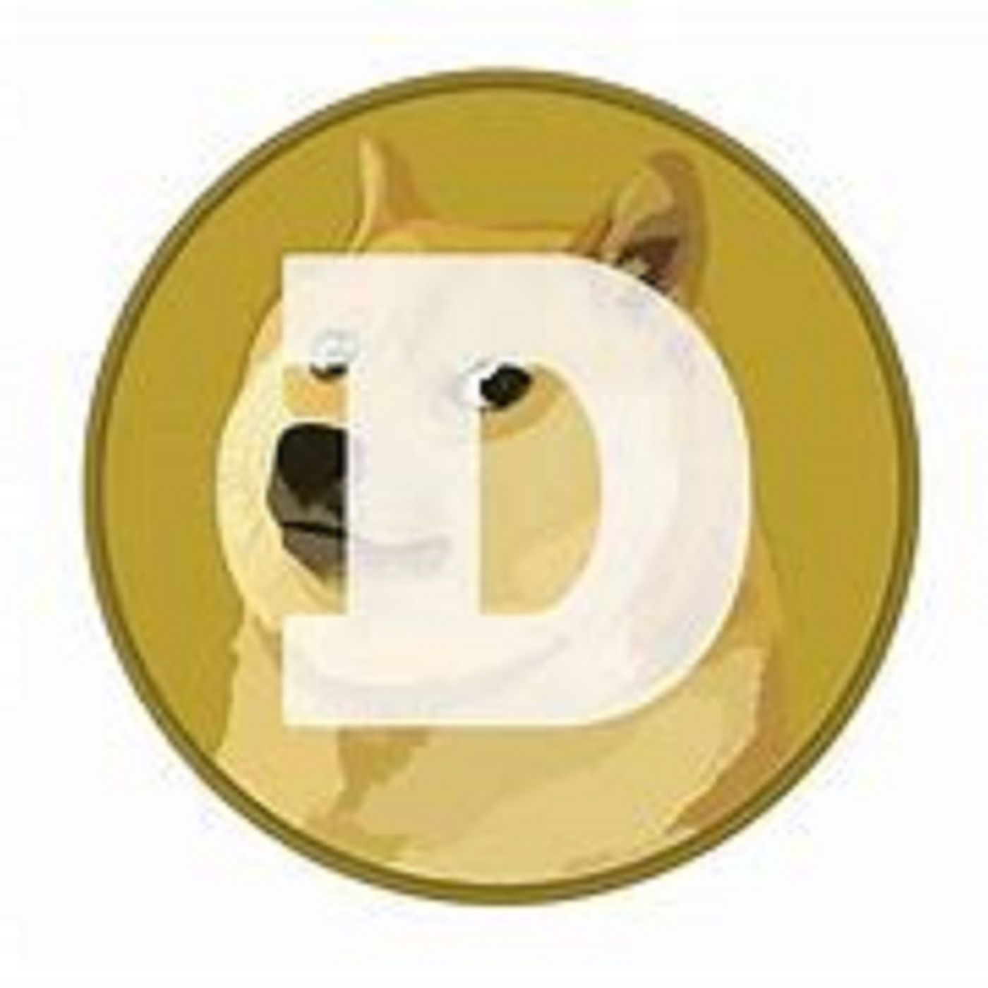 DOGE Price Prediction – Dogecoin Recovery Could Stall At $0.170