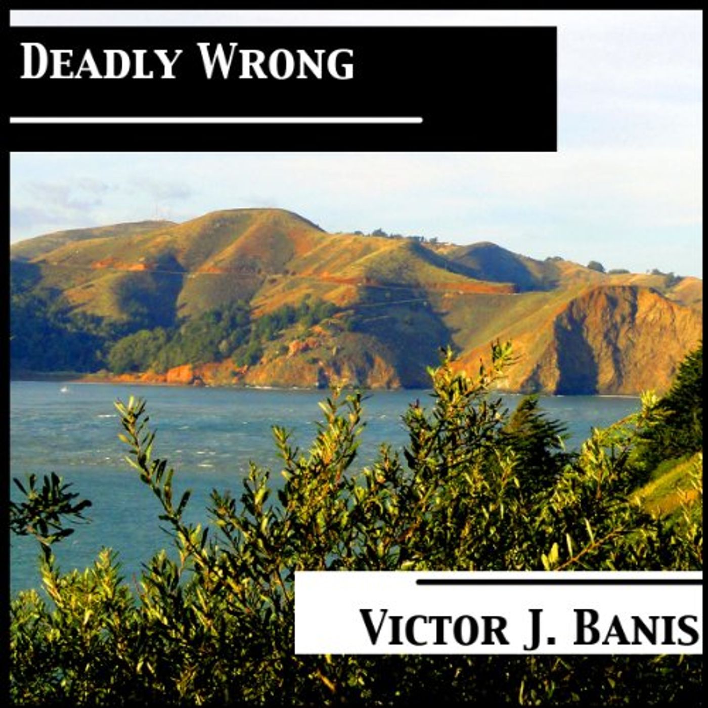 Get the Popular Titles Audiobooks in Fiction, Gay & Lesbian