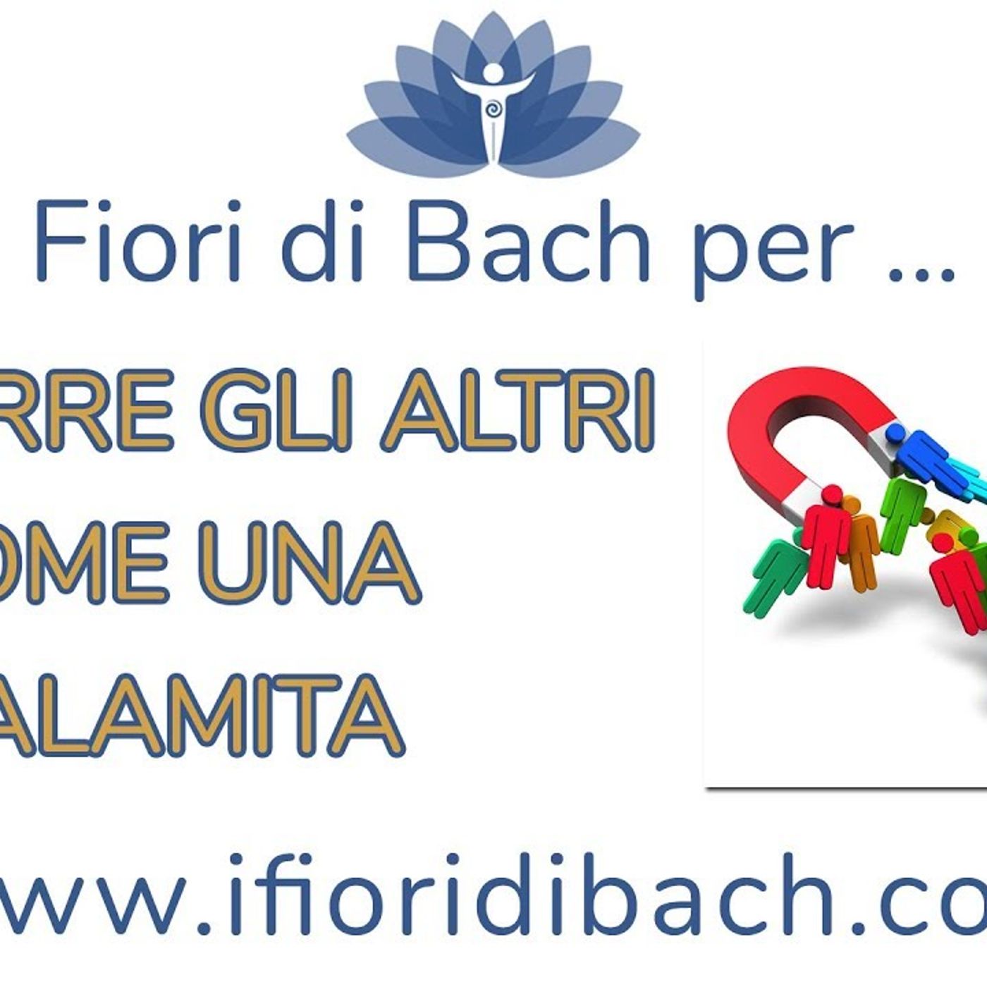 Attrarre gli altri come una calamita con i fiori di Bach episode artwork