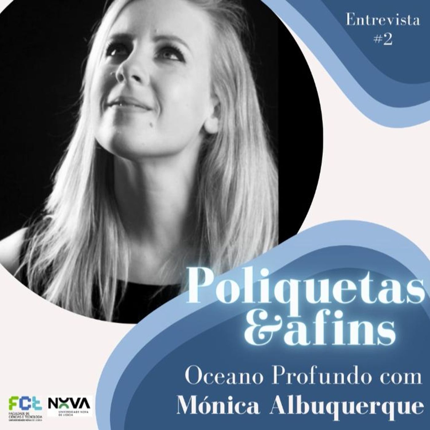 Poliquetas e afins