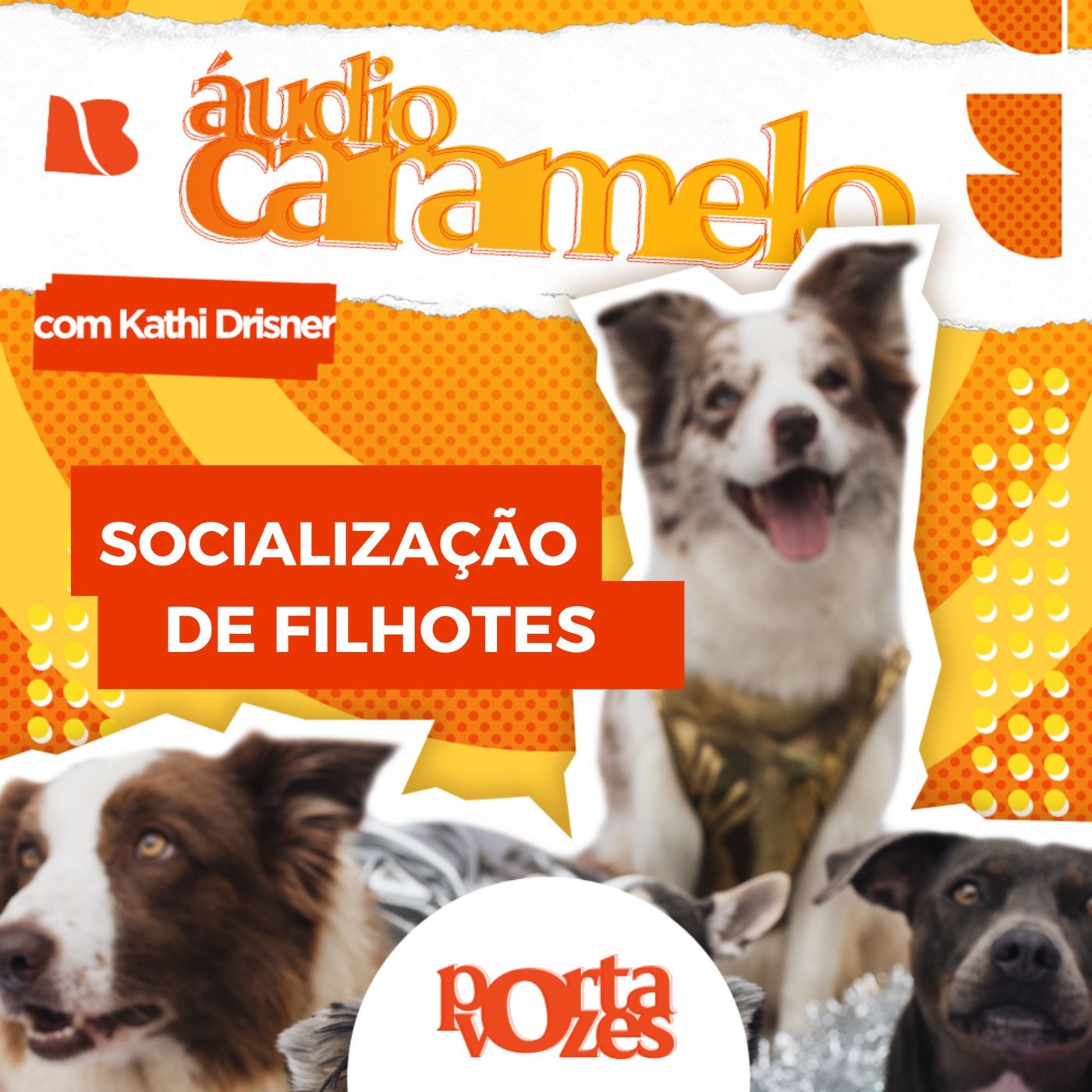 Socialização de um filhote, o que significa? | Áudio Caramelo episode artwork