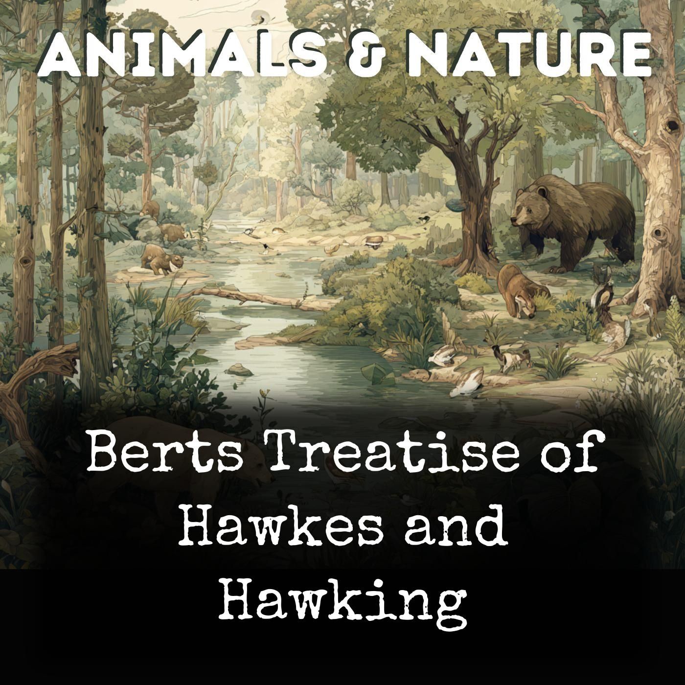 Berts Treatise of Hawkes and Hawking podcast artwork