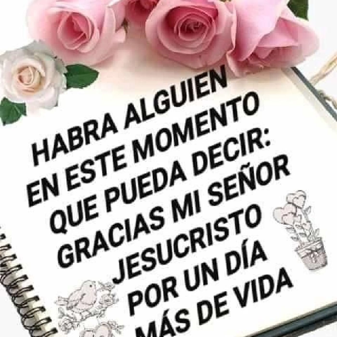 El Poder Del Evangelio de AProCristiano