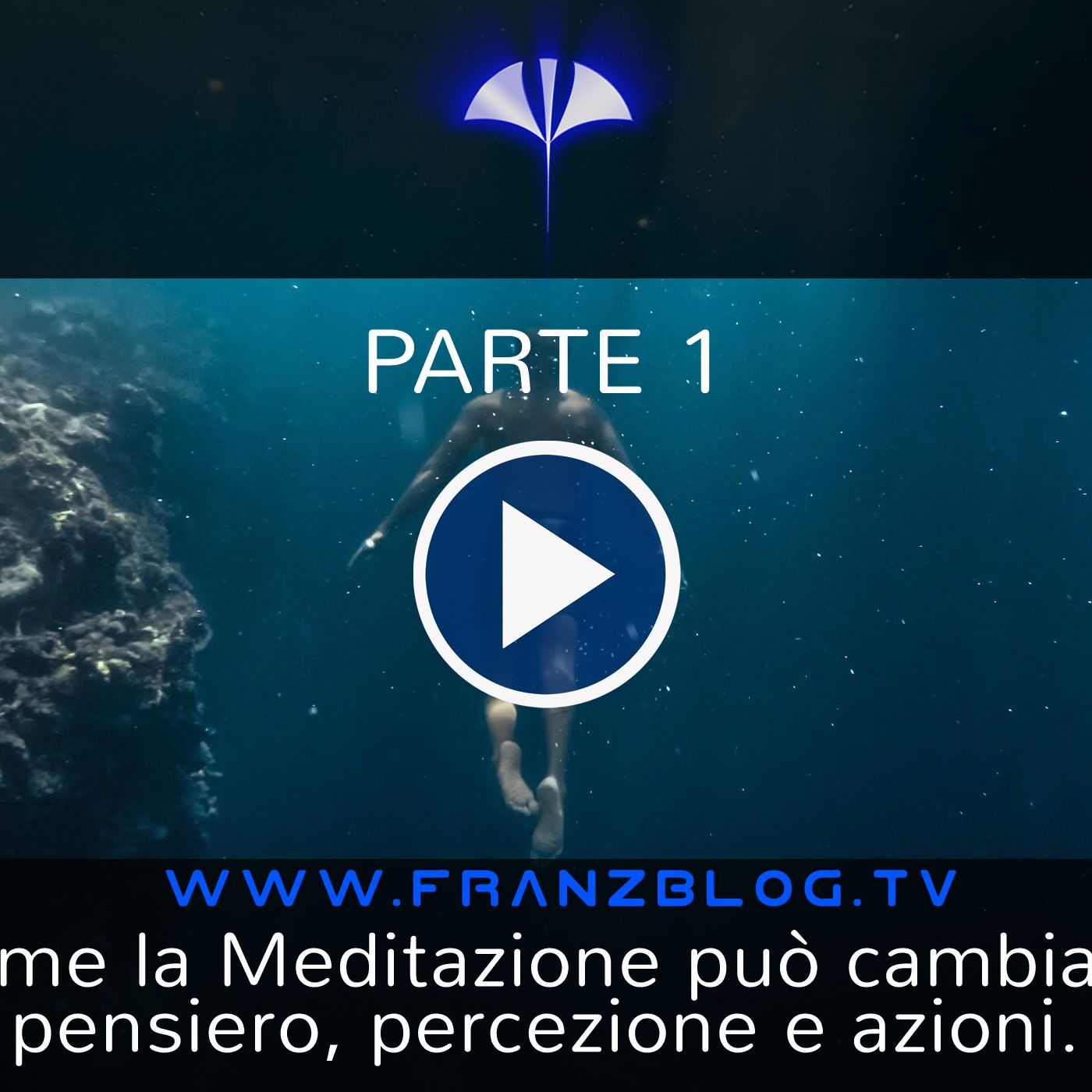 Franz\'s Blog
