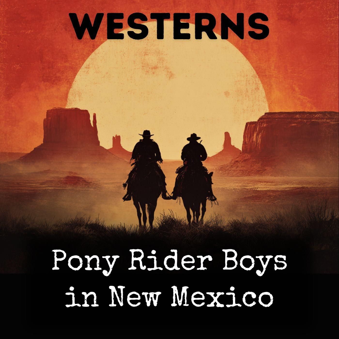 Pony Rider Boys in New Mexico cover art