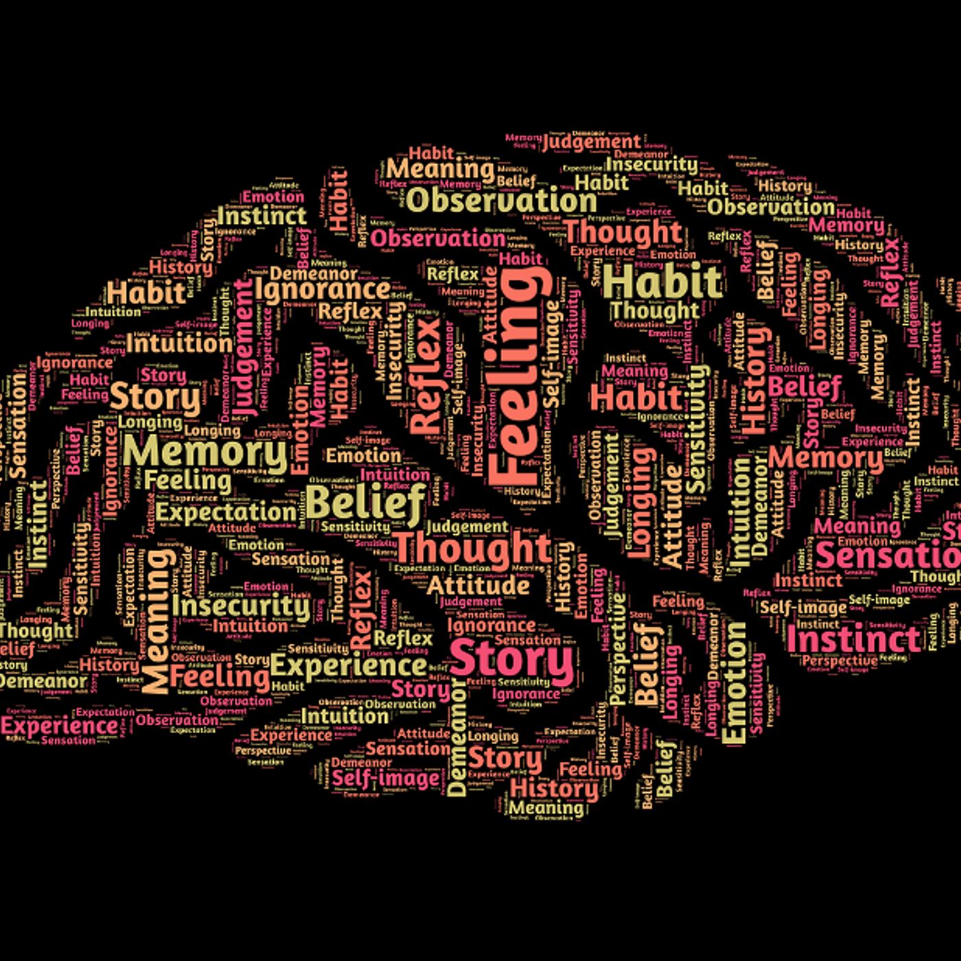 240- I 3 passaggi chiave per la formazione di un “Mindset Vincente”...