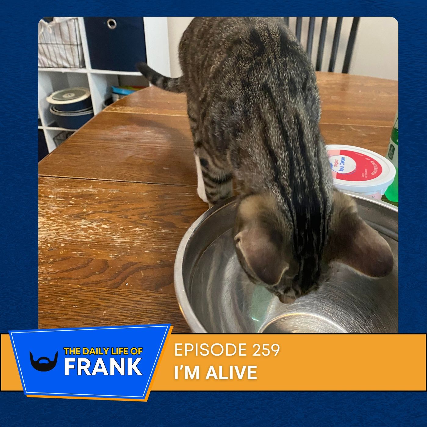 Episode 259: I'm Alive episode artwork