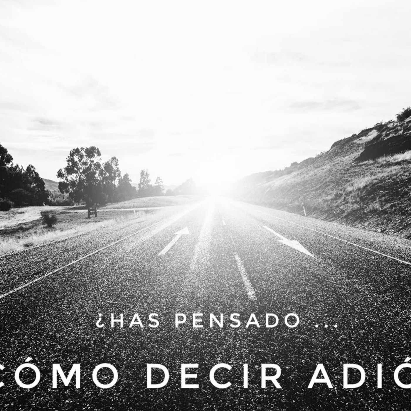 NUEVOS COMIENZOS