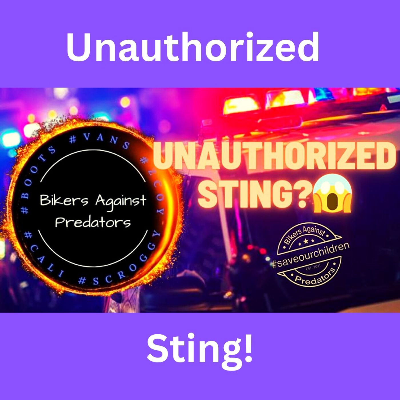 Bikers Against Predators Under Investigation for Unauthorized Sting