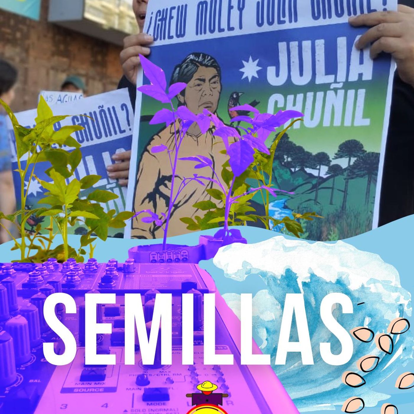 Semillas de Tomate Rojo