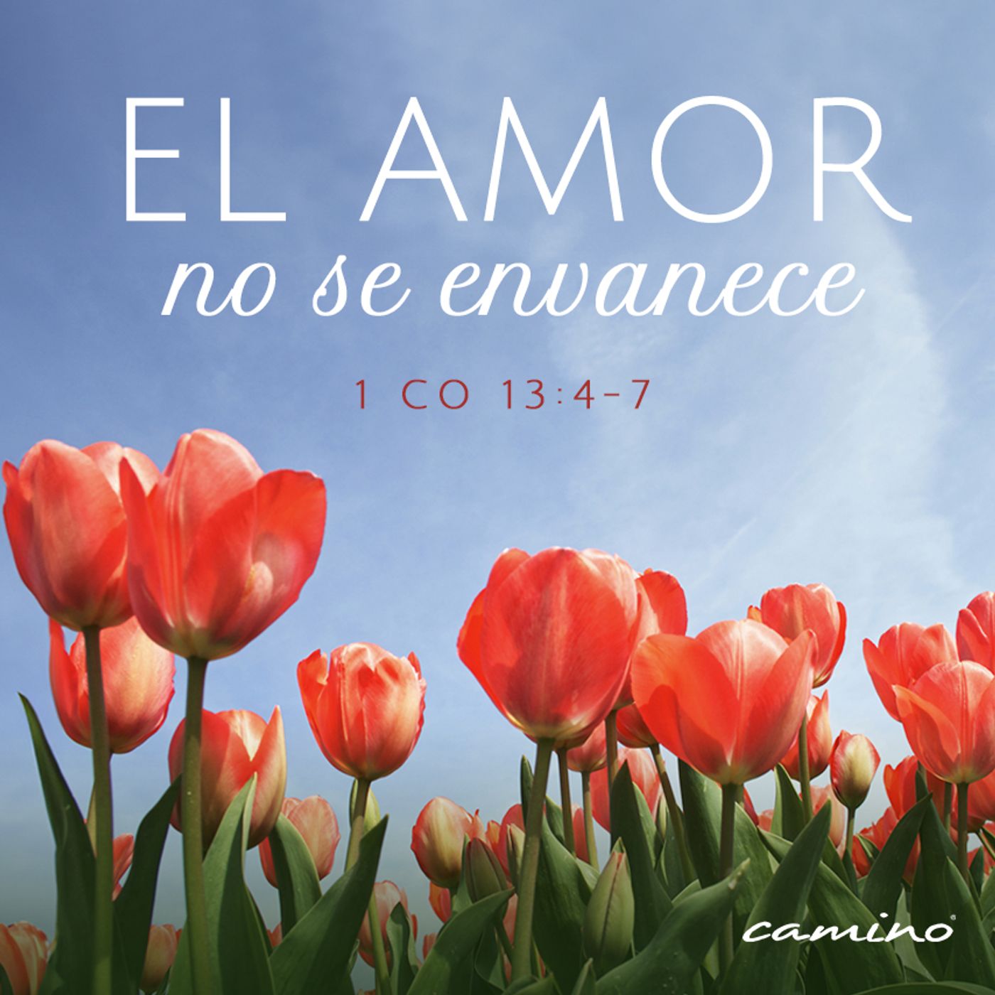 Oración 7 de marzo (El amor no se envanece) episode artwork