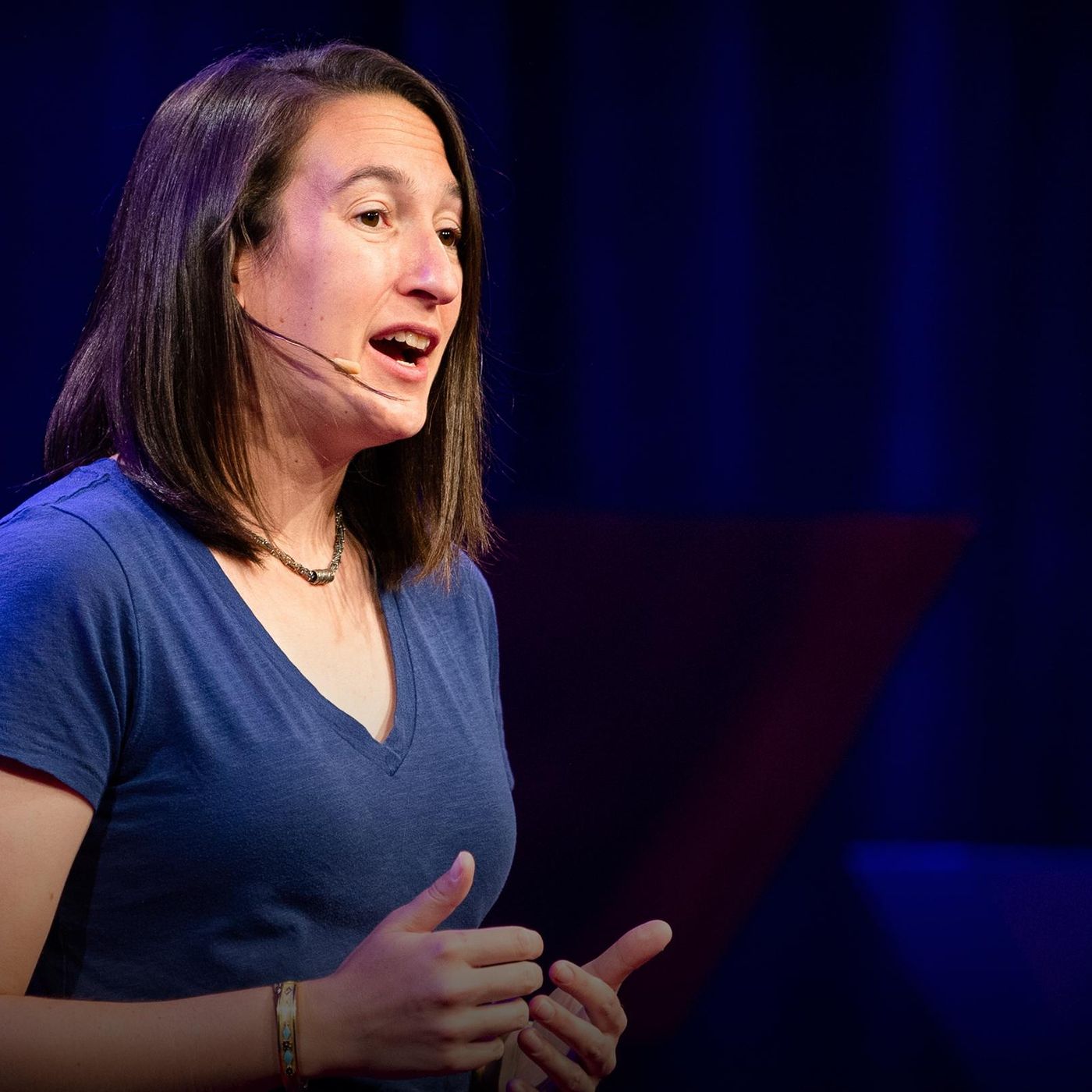 TED Talks