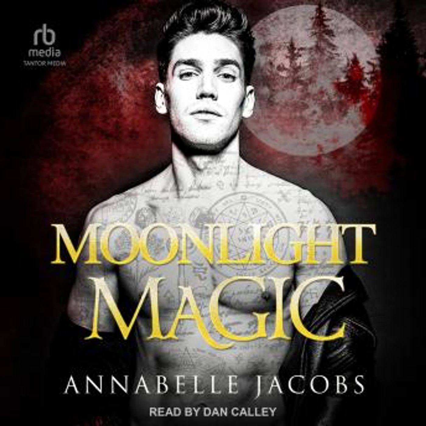 Access Unmissable Full Audiobooks in Romance, LGBTQ+