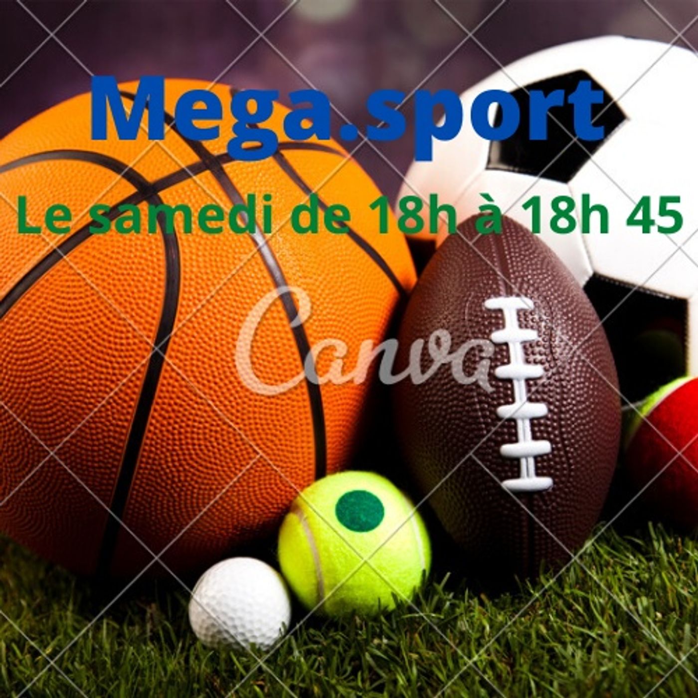 Mega.Sport