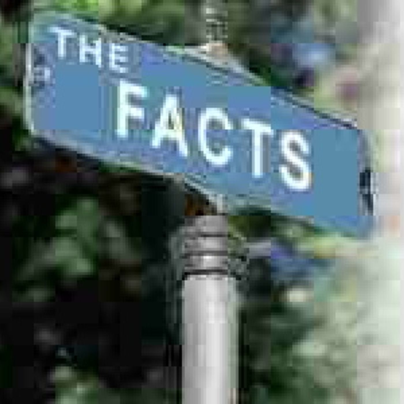 Facing The  Facts episode artwork