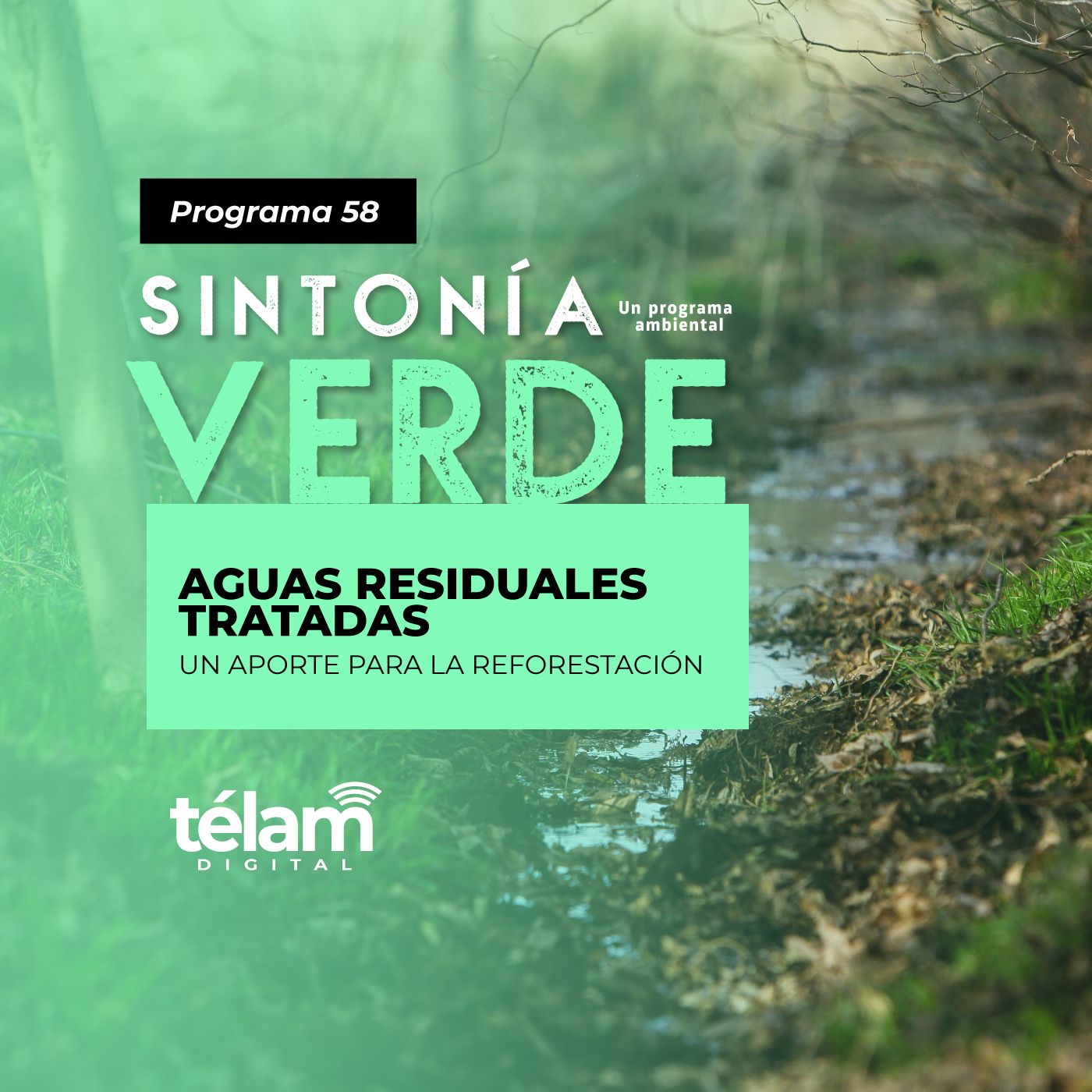 Sintonía Verde, un programa ambiental