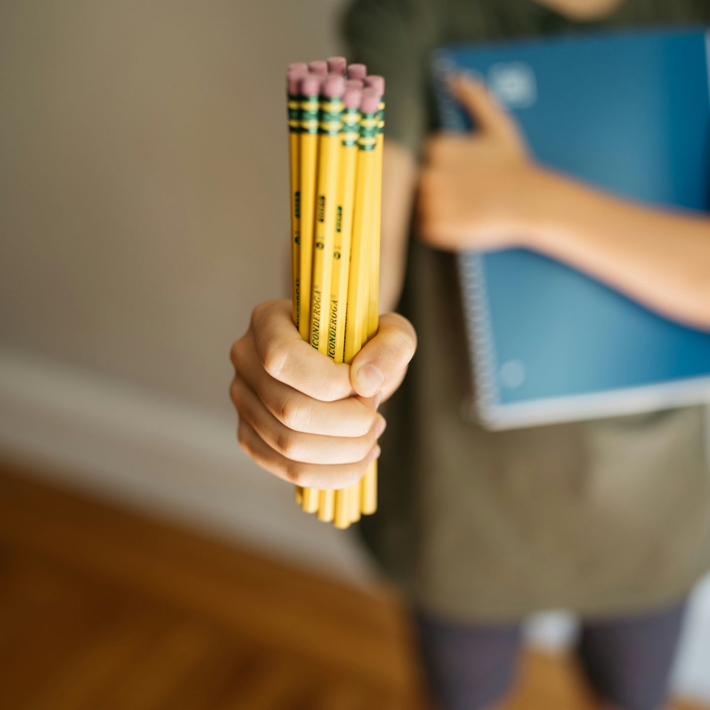 elementos en los procesos de aula