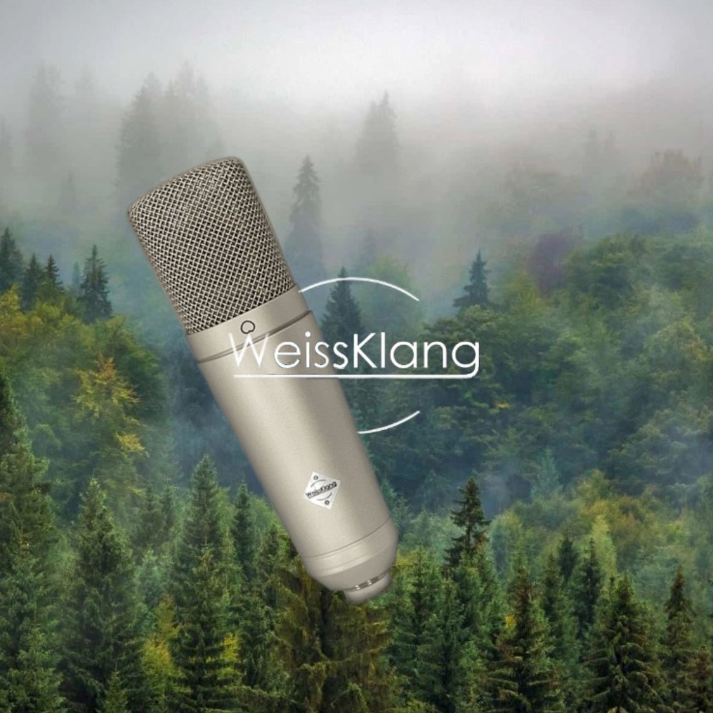 Microfoni tedeschi WeissKlang - Telefonata con Salvatore Di Fresco il fondatore