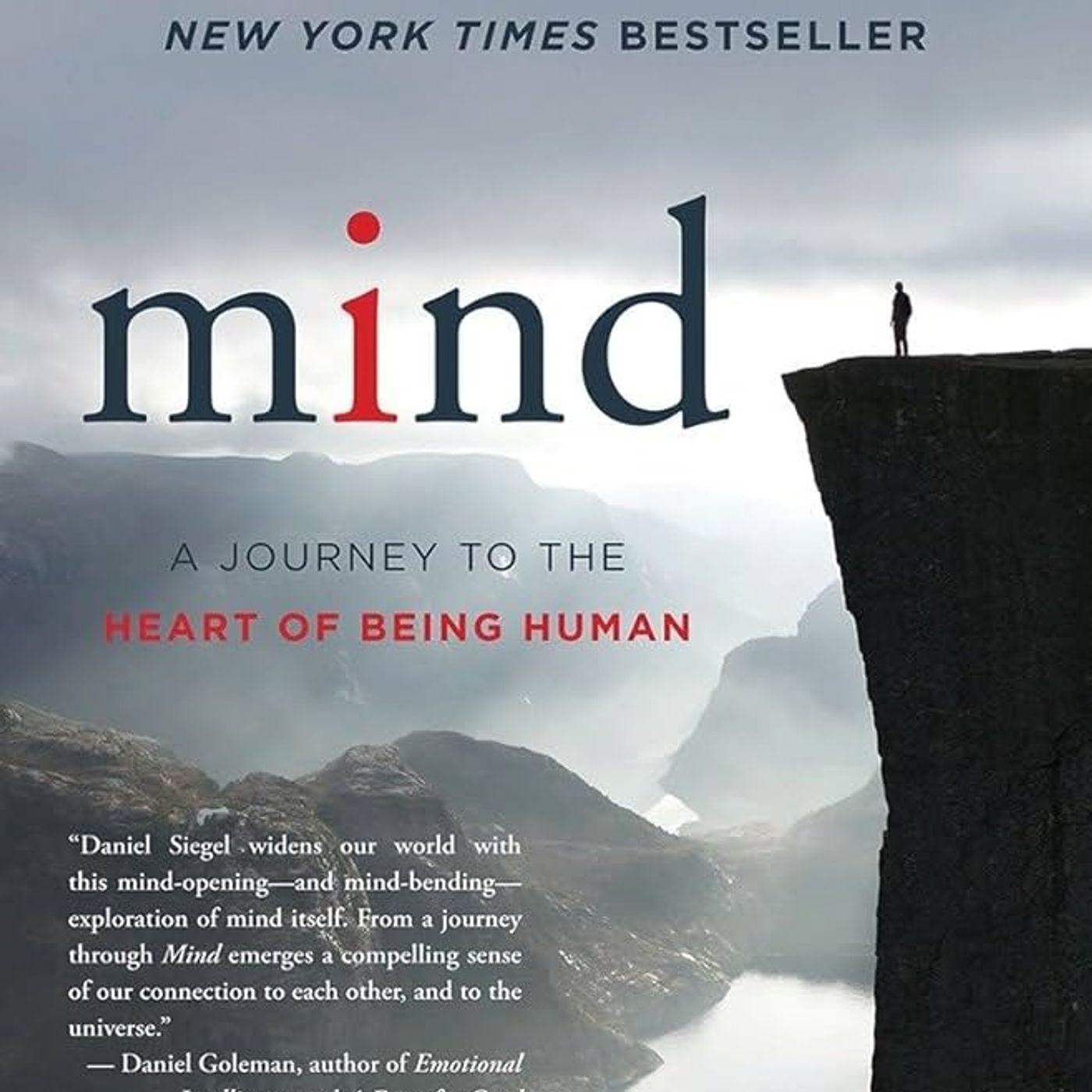 Mind: A Journey to the Heart of Being Human
