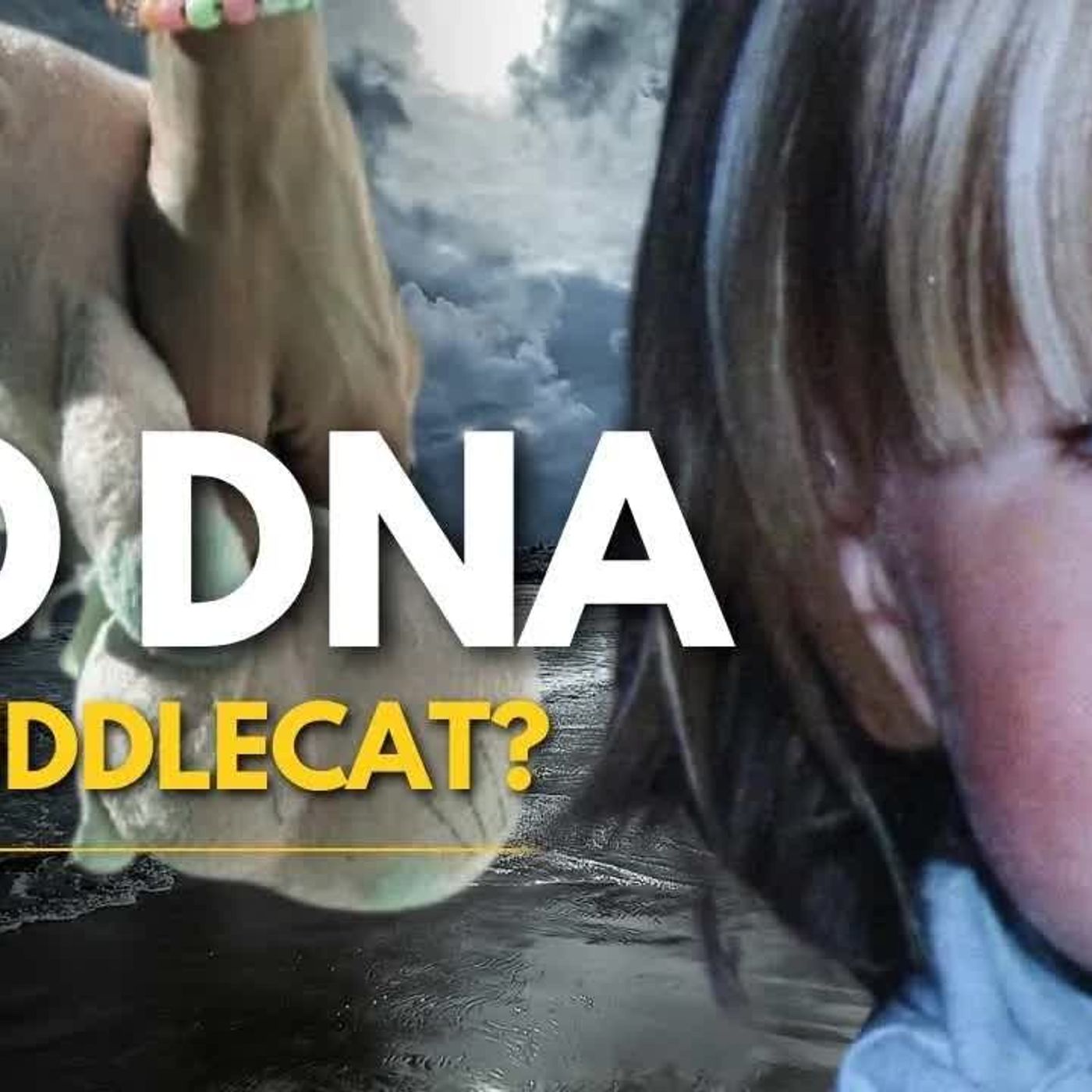 The Most BIZARRE Detail in the Madeleine McCann Case episode artwork
