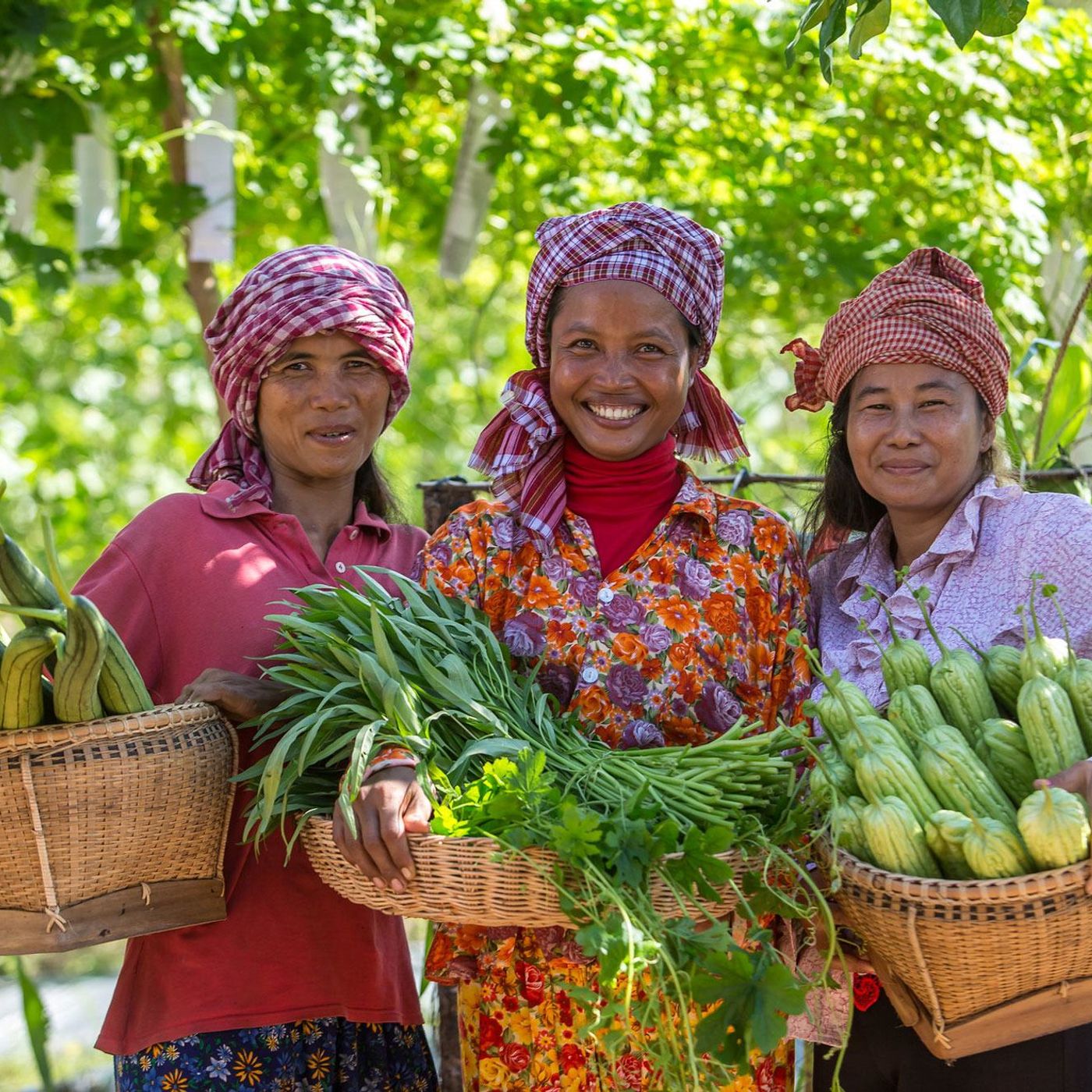 WFP apela por proteção da segurança alimentar na Ásia e no Pacífico episode artwork