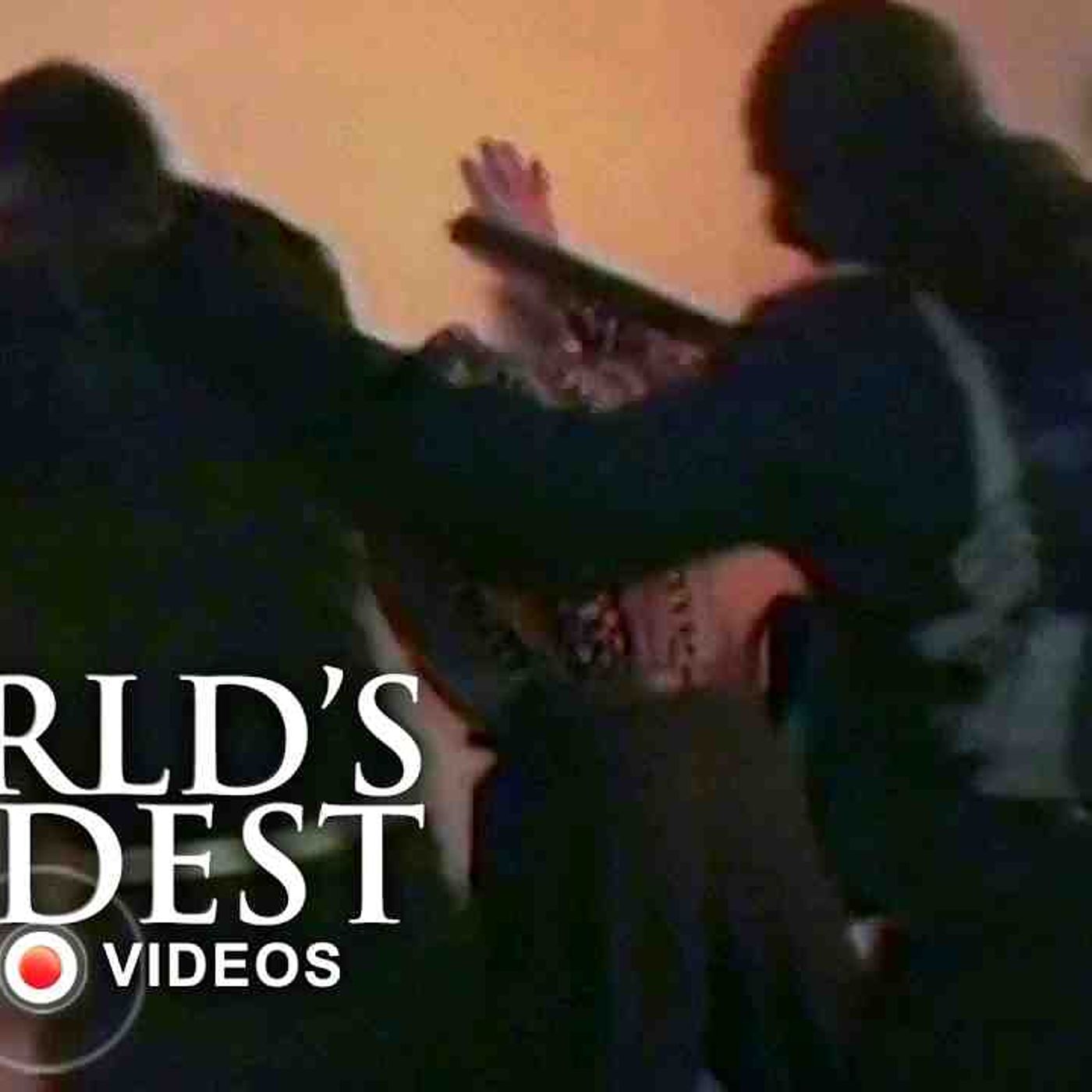 Most Dangerous Chases_ _ World_s Wildest Police episode artwork