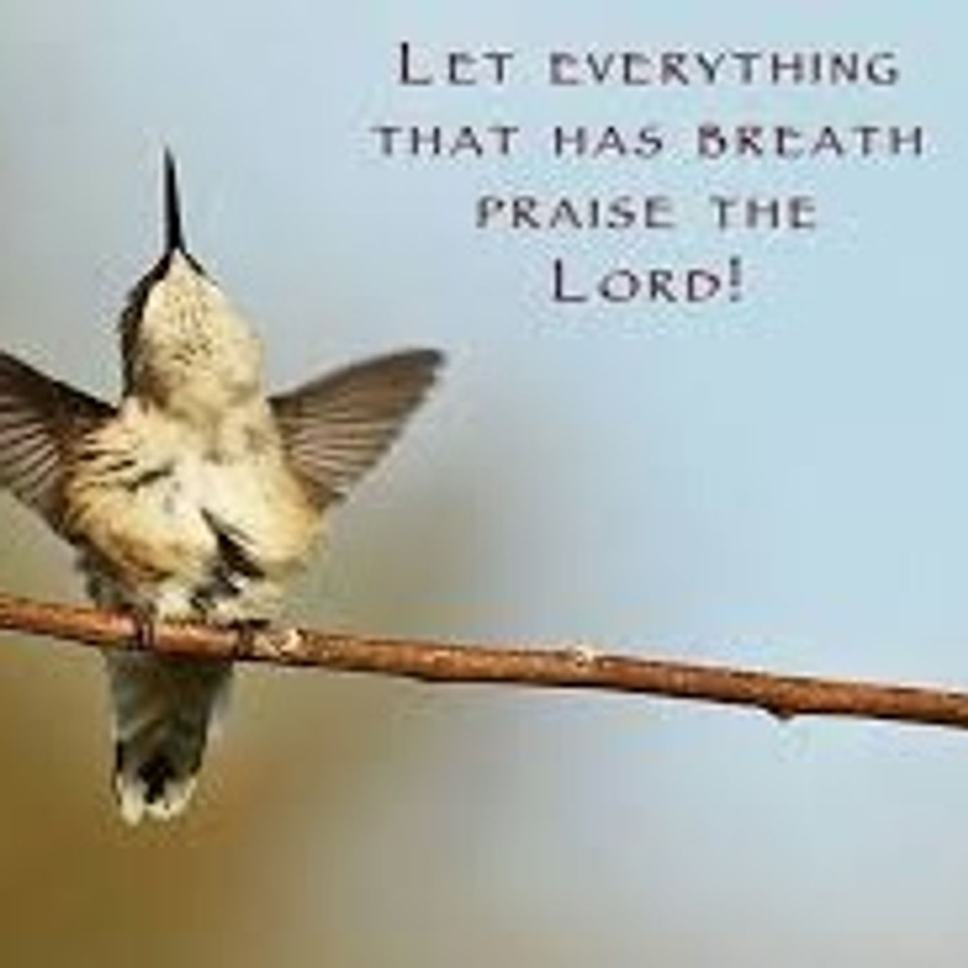 5 Min Parable: Have breath? Praise Him! episode artwork