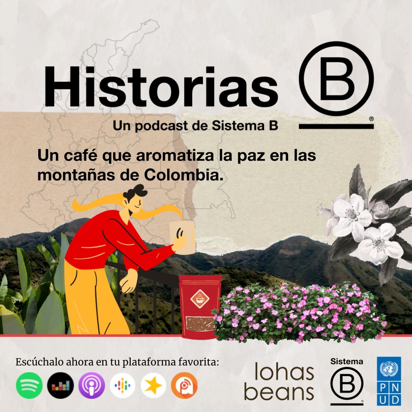 Lohas Beans: Un café que aromatiza la paz en las montañas de Colombia