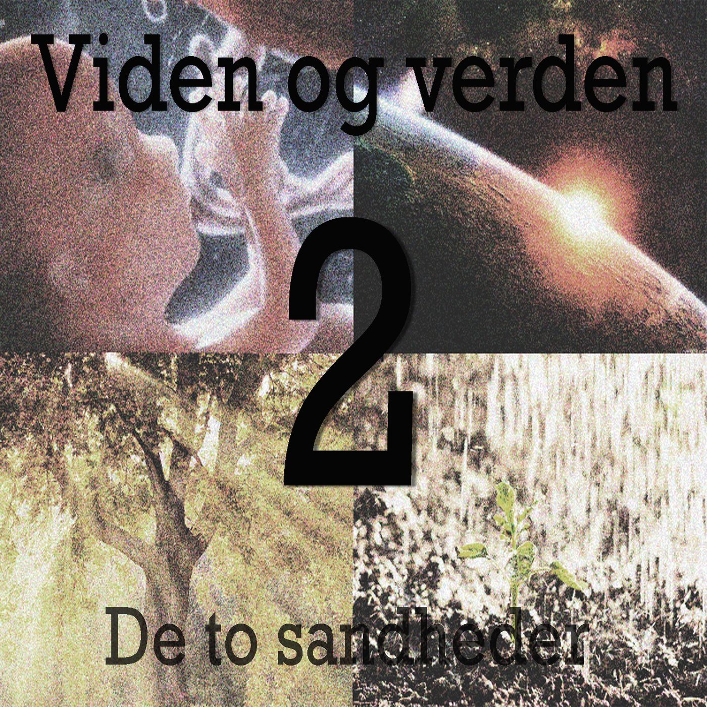 Filosofi for livet