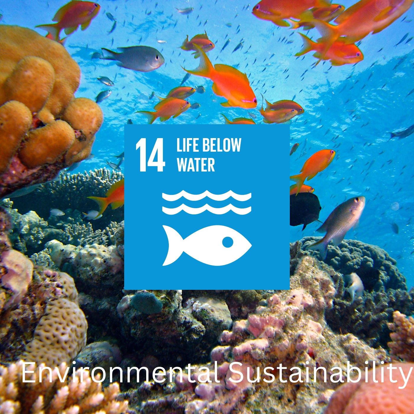 Environmental Sustainability