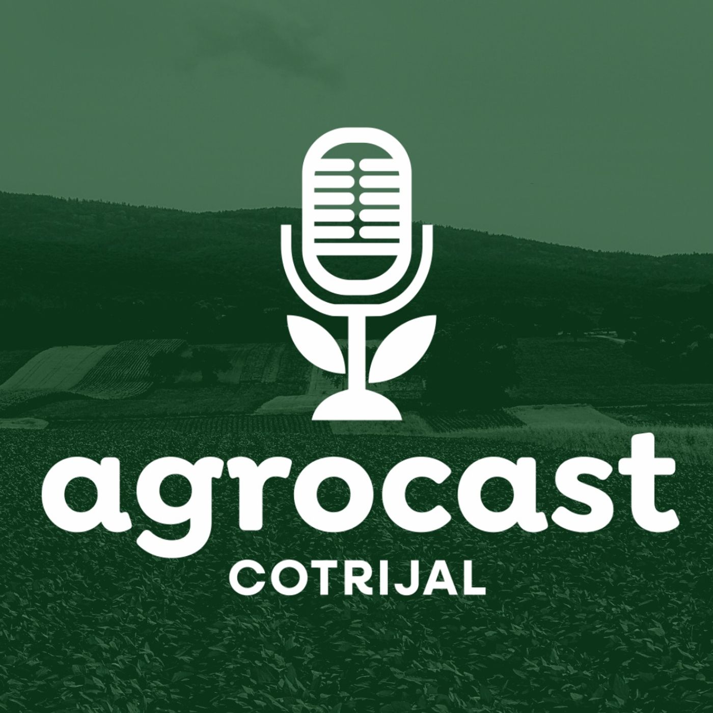 AgroCast Cotrijal