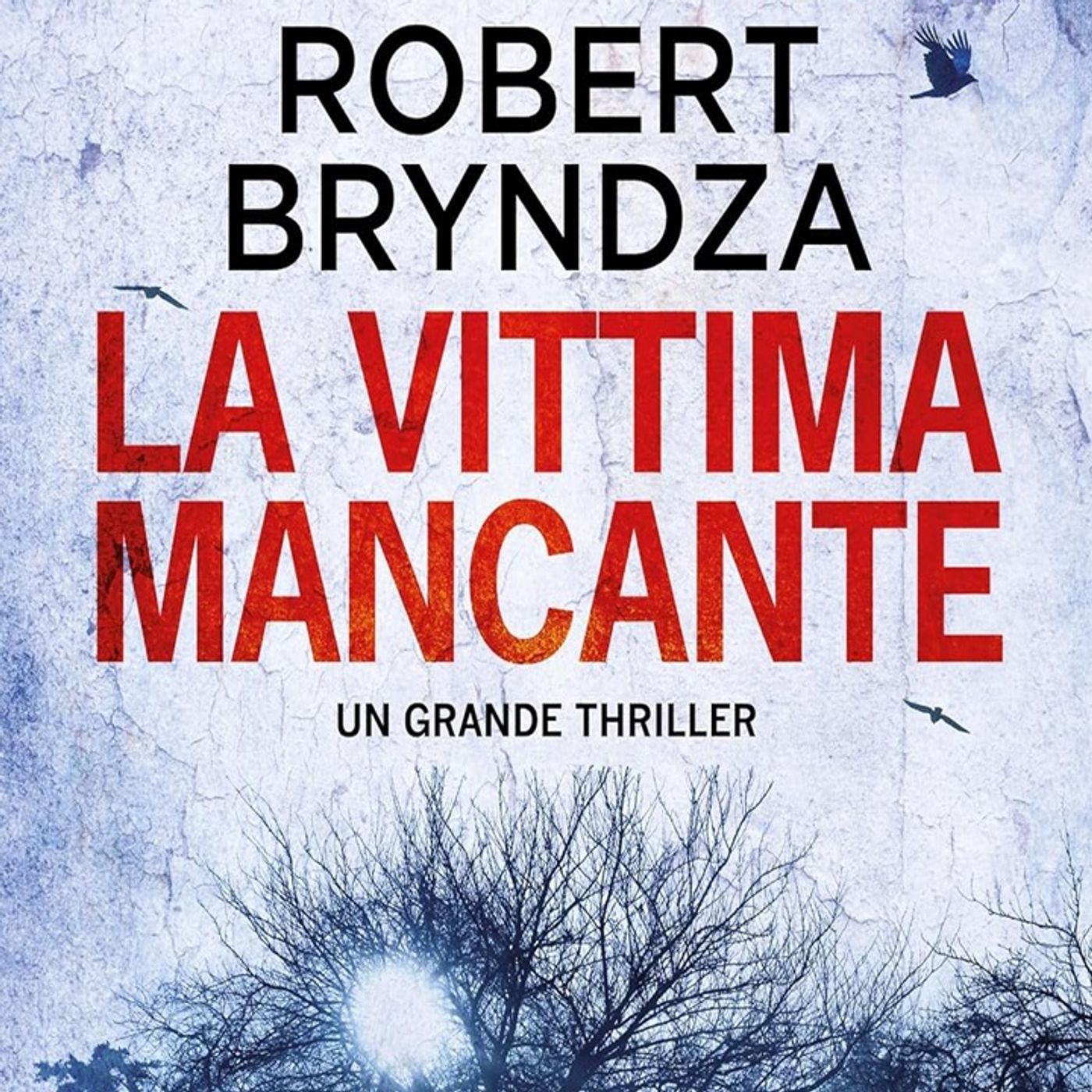 Robert Bryndza: un caso irrisolto da più di 30 anni, una ragazza scomparsa