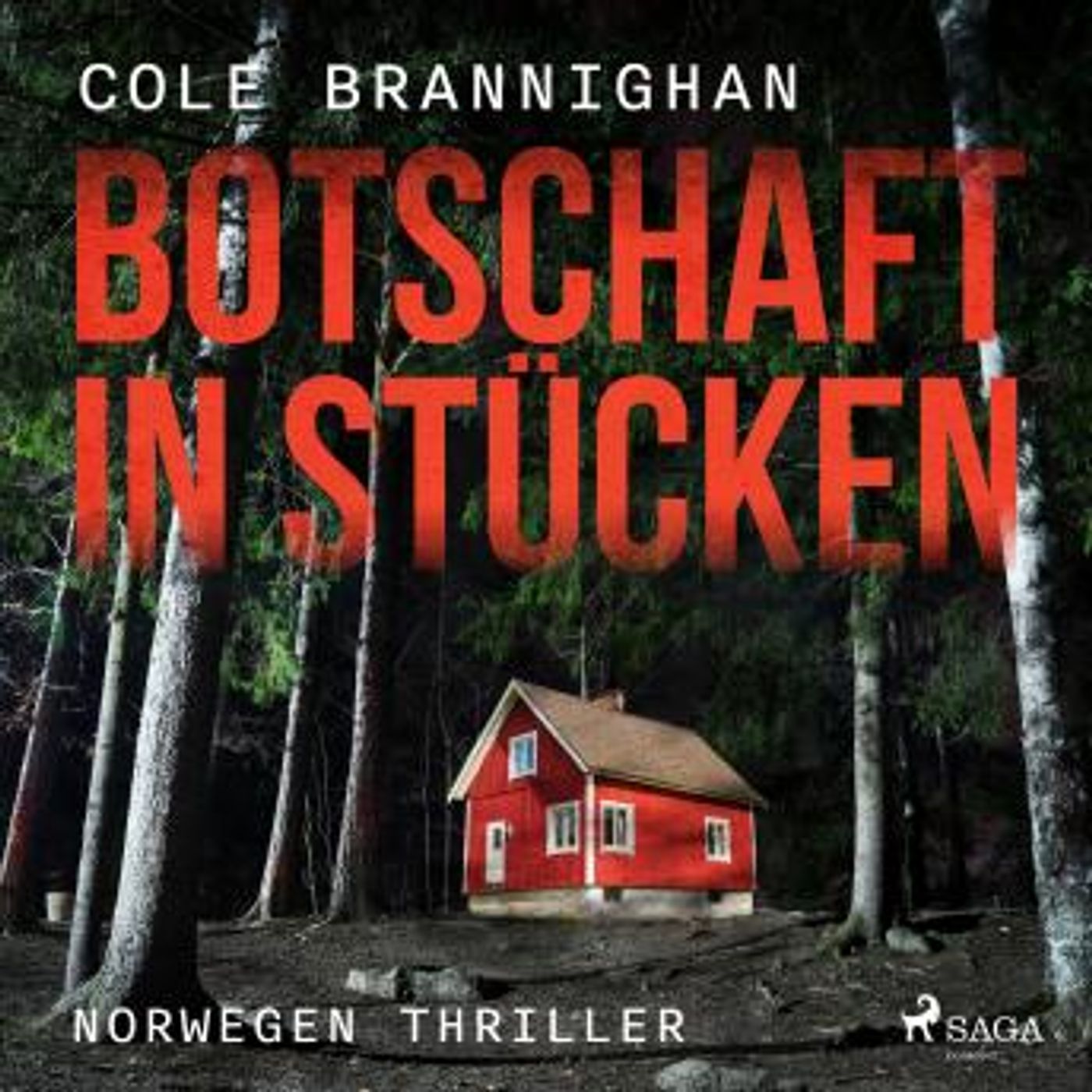 [German] - Botschaft in Stücken: Norwegen-Thriller by Cole Branninghan episode artwork