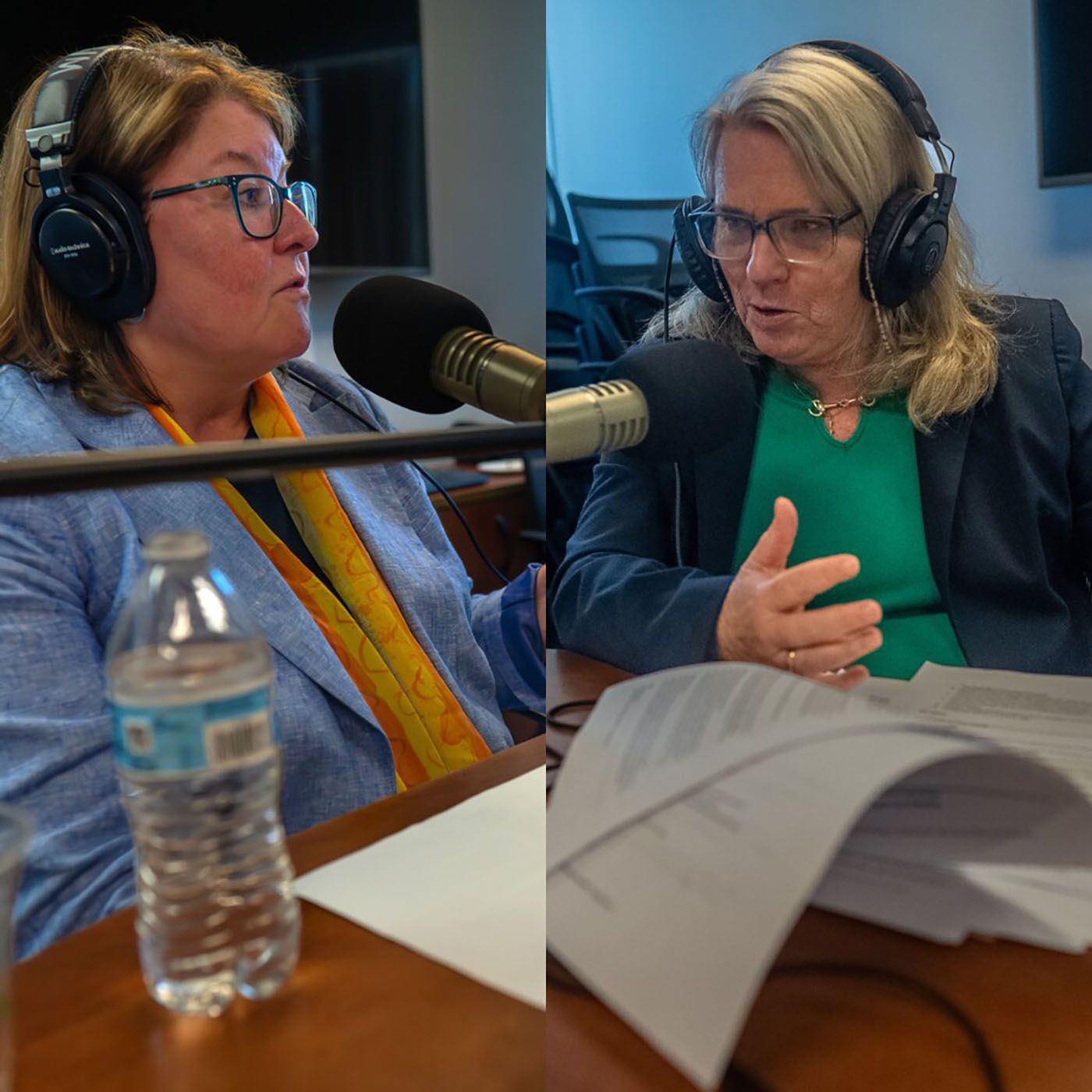 Legislative wrap-up episode artwork