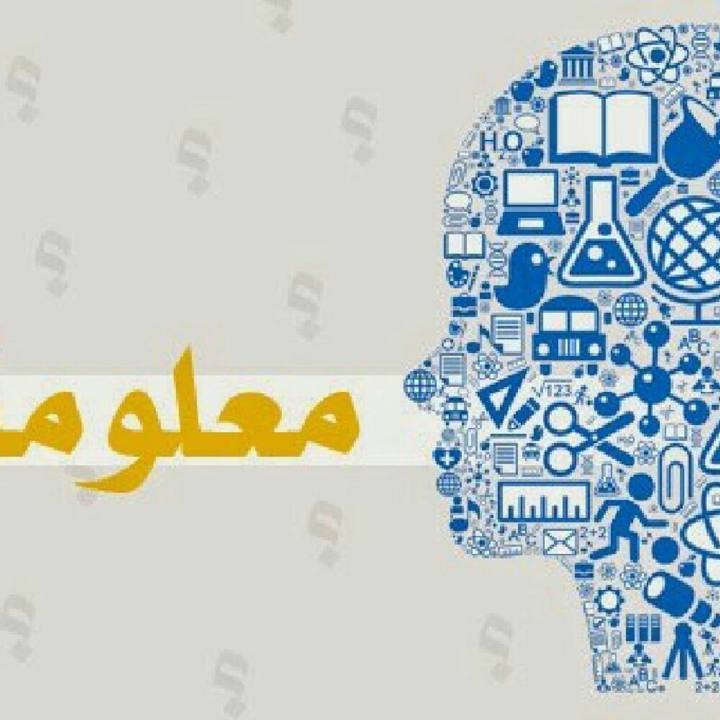 Aly Saleh Show