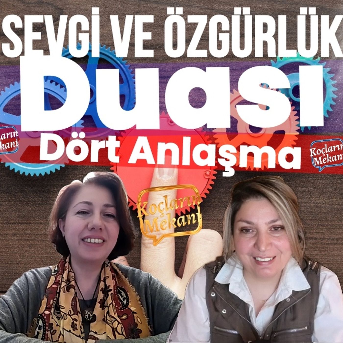 Koçların Mekanı