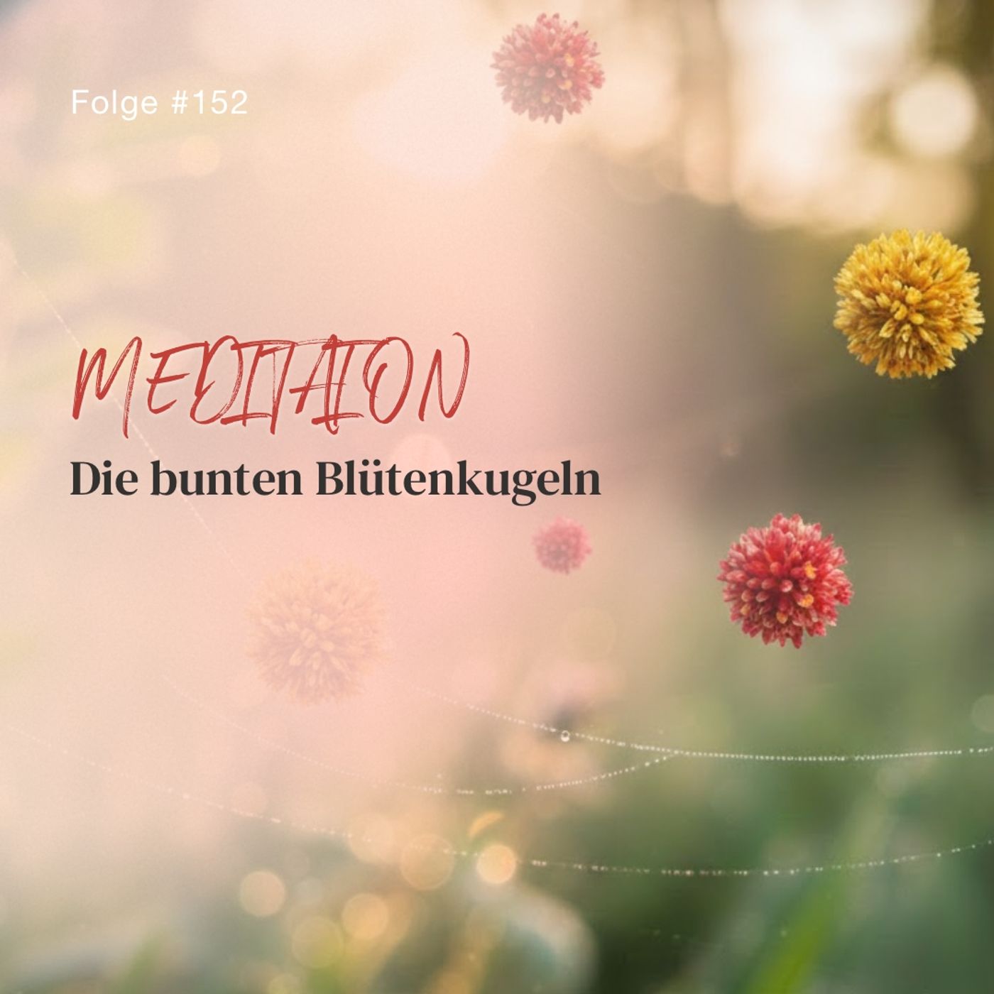 Die bunten Blütenkugeln | ca. 26 Min | Folge 152 episode artwork