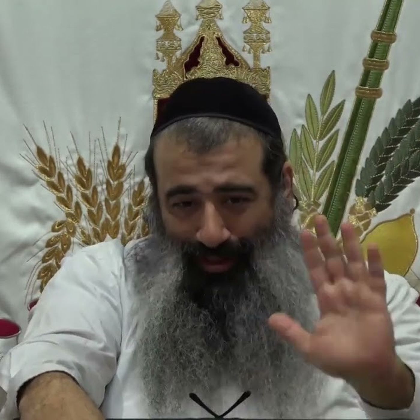 תומר דבורה שיעור 8