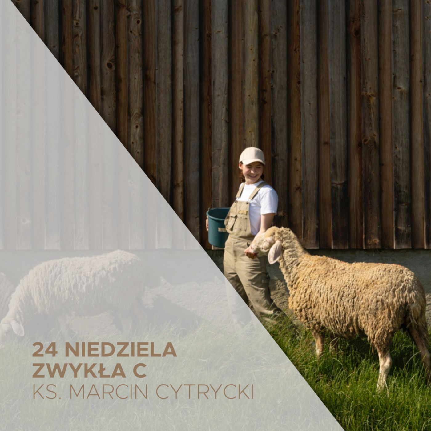 11.09.2022 - 24 Niedziela Zwykła C - ks. Marcin Cytrycki episode artwork
