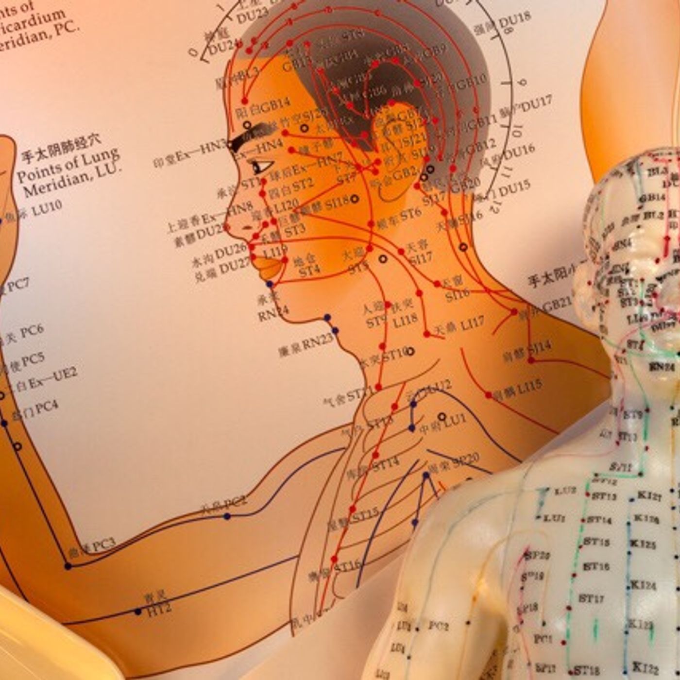 Acupression et Energétique Chinoise
