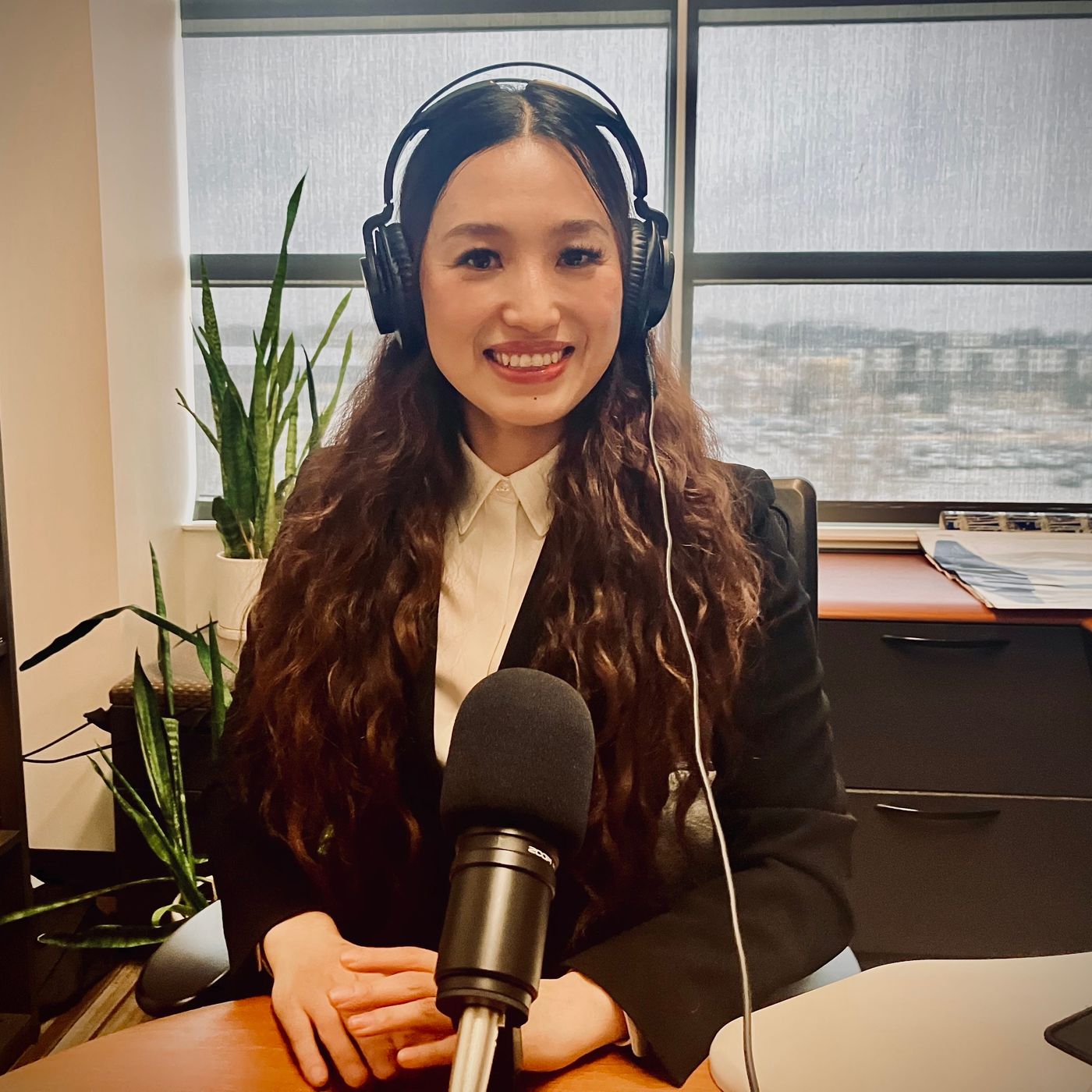 Dr. Jane Liu on Stablecoin rising, new Crypto developments + patterns & the volatile Bitcoin market