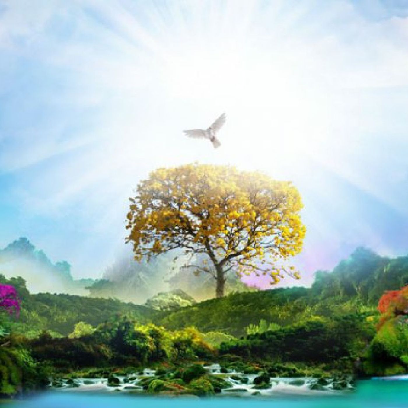 Paradise: A Biblical Perspective