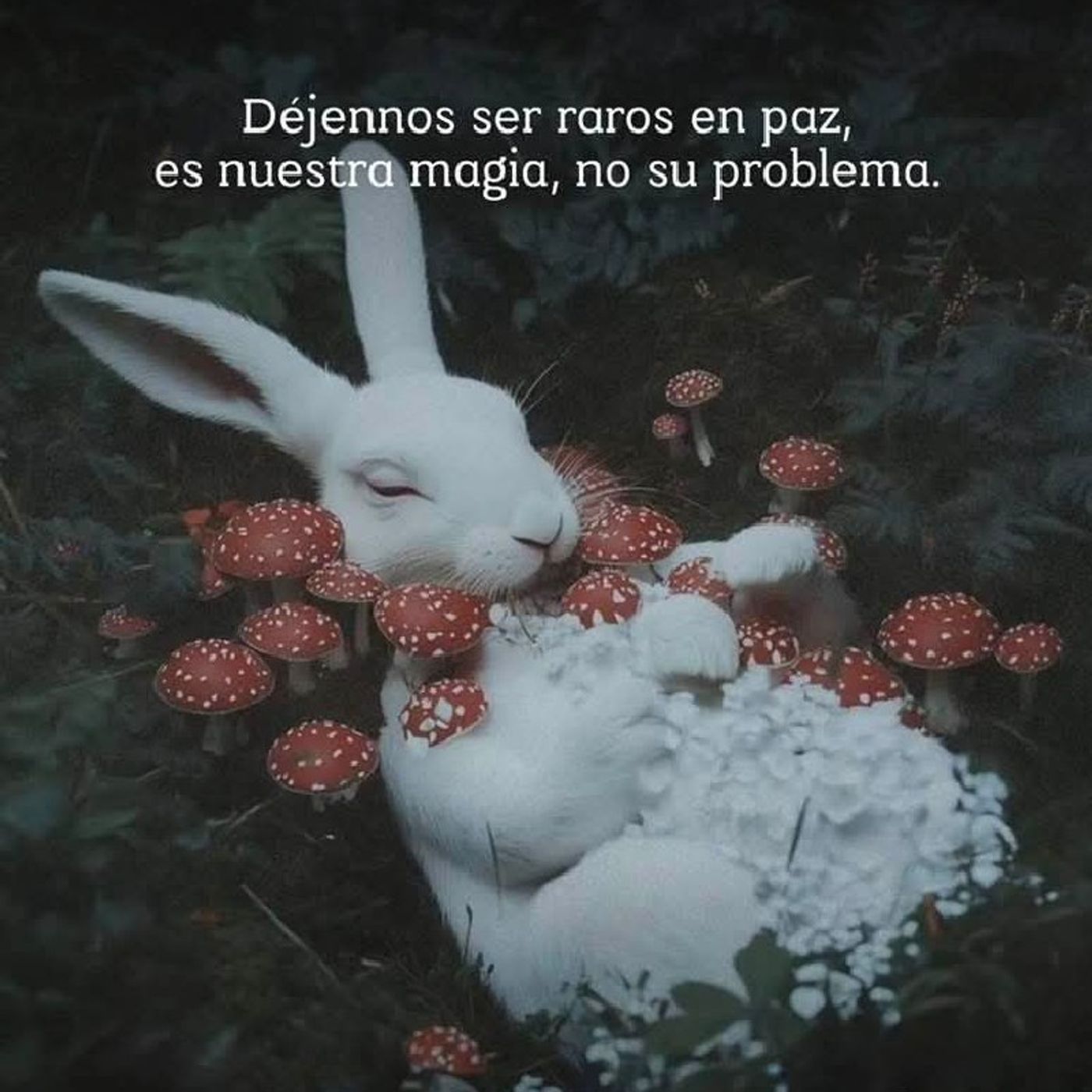 La exclusión episode artwork
