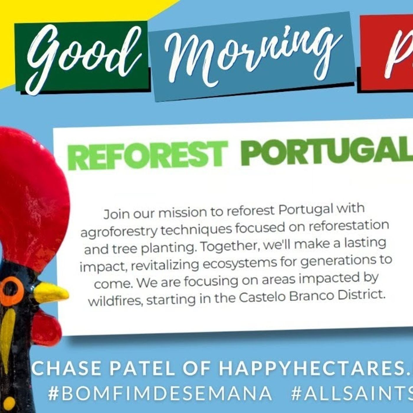 Reforest Portugal with Happy Hectares on Good Morning Portugal!