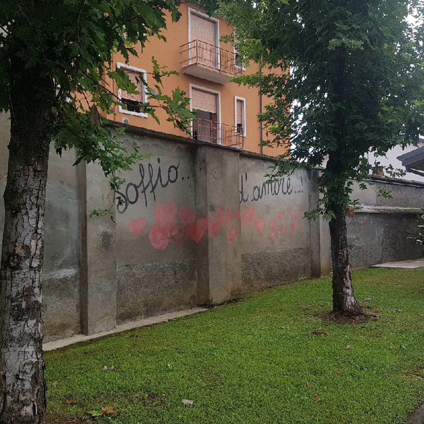 carDia secondo il cuore di Dio