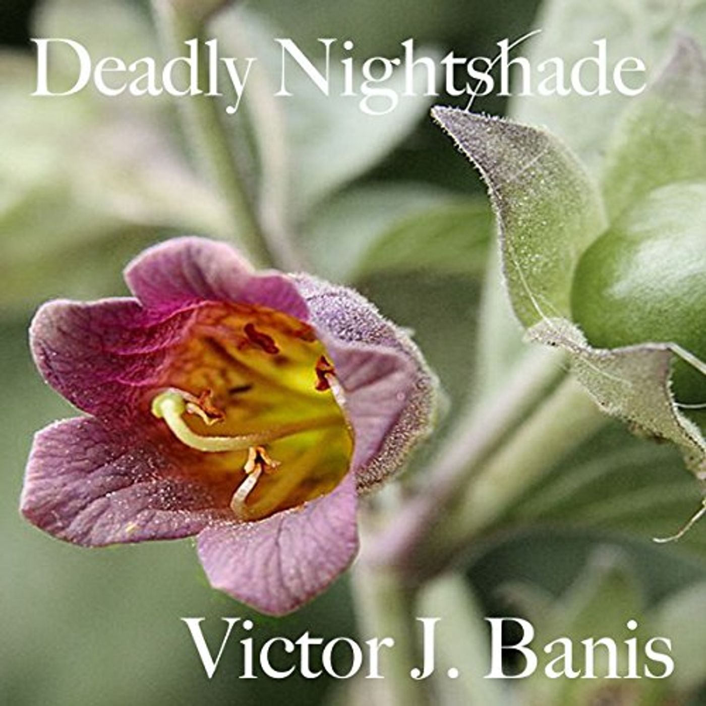 Get the Popular Titles Audiobooks in Fiction, Gay & Lesbian