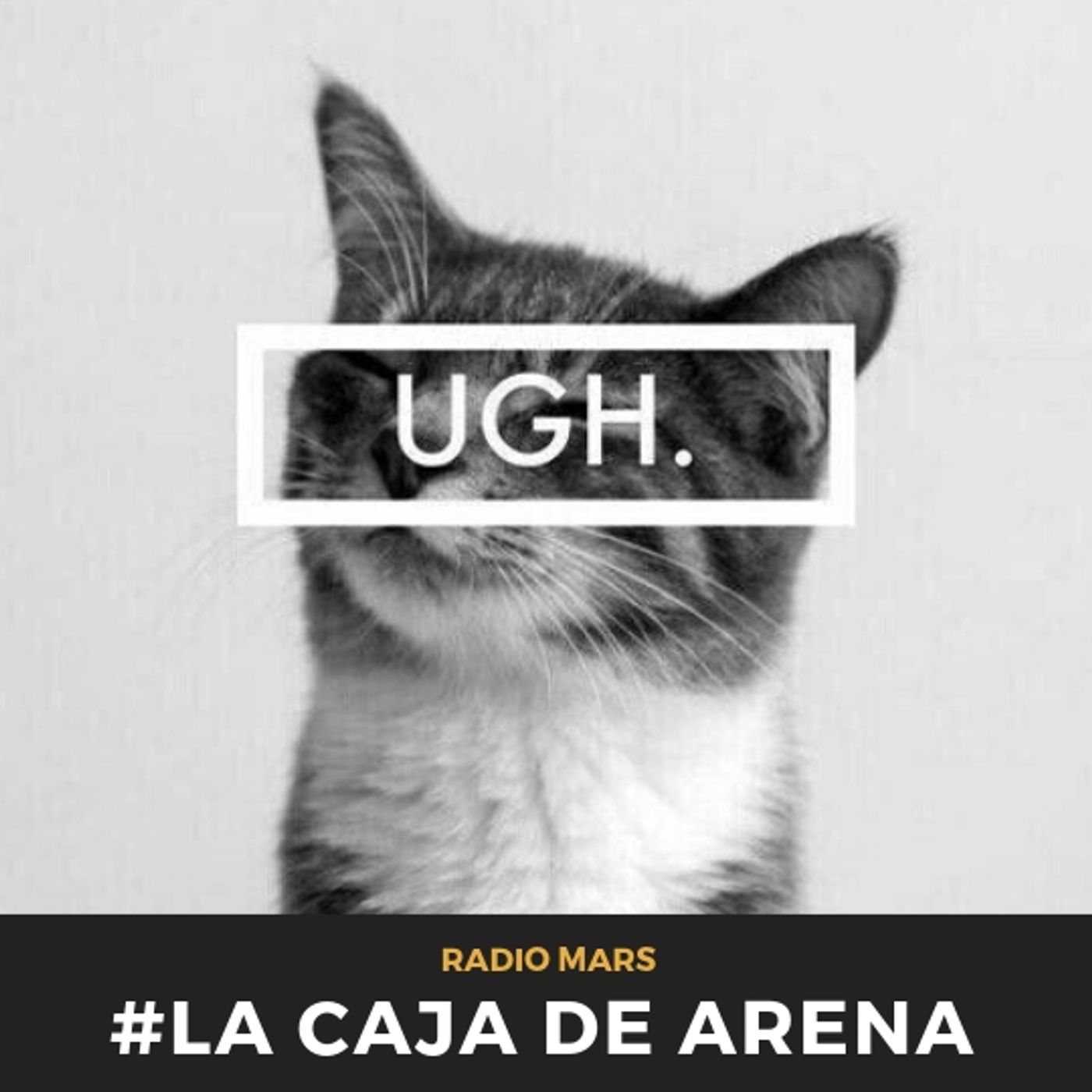#LaCajaDeArena