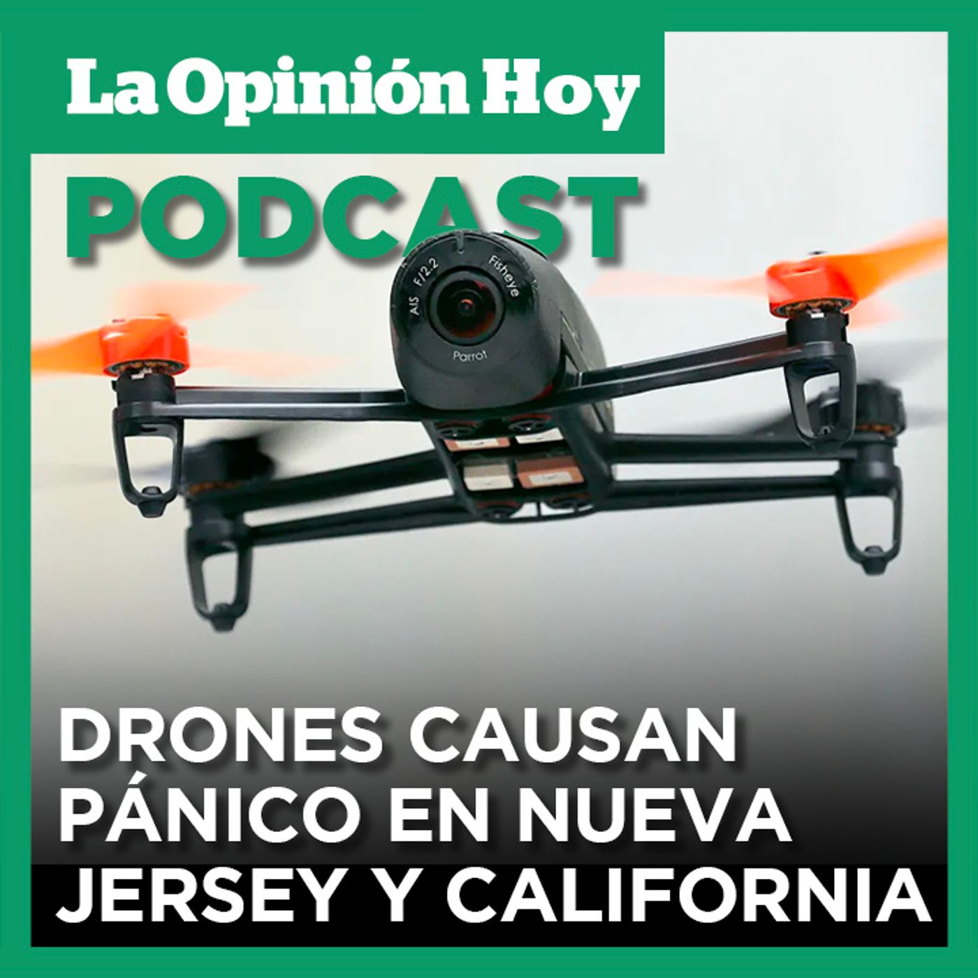 Preocupación por seguridad pública tras avistamientos de drones.